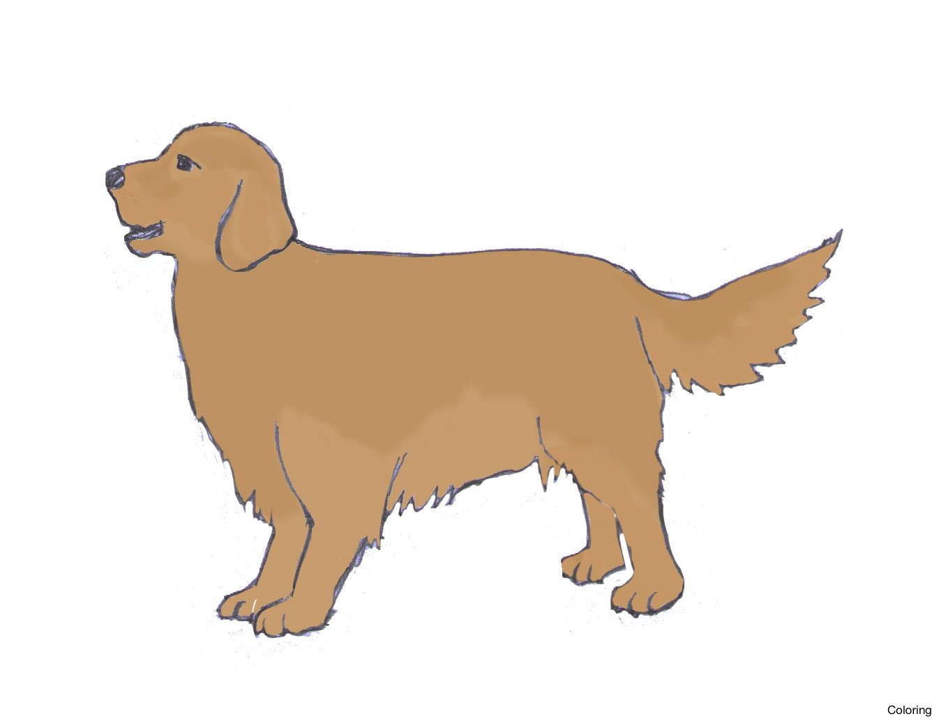 1346x1034 Maxresdefault Drawing Of Dog Coloring How To Draw A Puppy Very