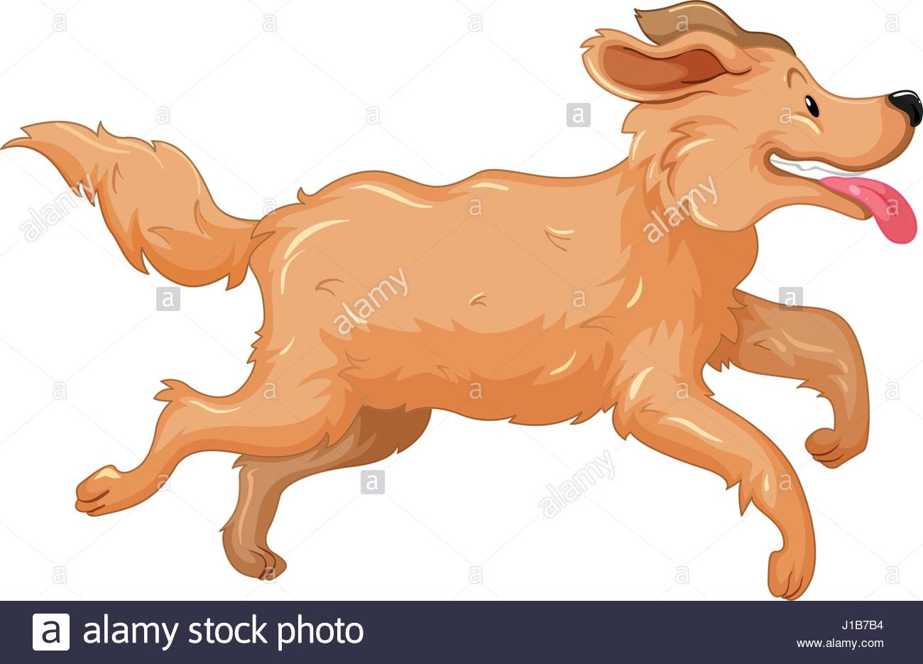 1300x935 Golden Retriever Dog Running Illustration Stock Vector Art