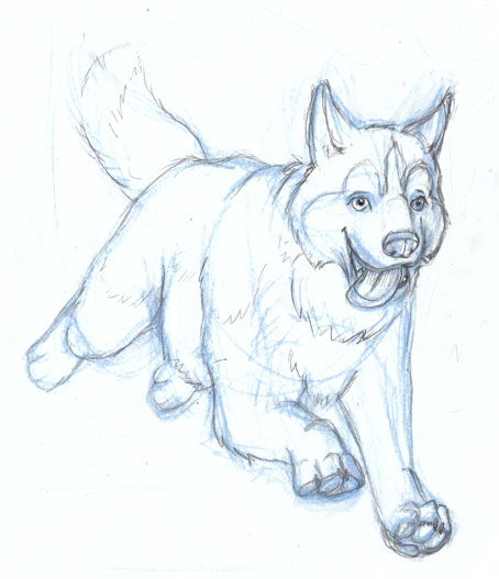 454x527 Husky Running Sketch By Stormslegacy