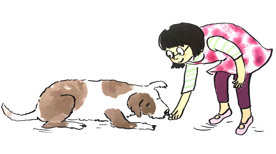 960x536 How To Teach Your Dog To Lie Down We Heart Pet