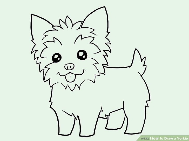 728x546 How To Draw A Yorkie (With Pictures)