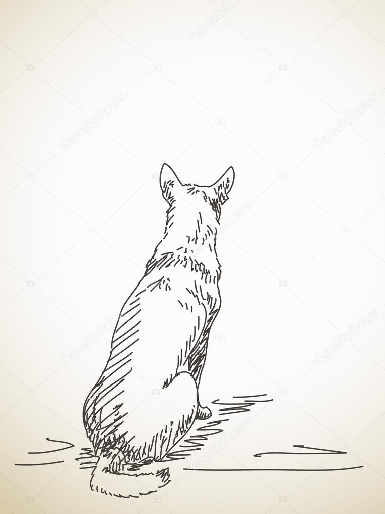 768x1024 Sketch Of Sitting Dog Stock Vector Olgatropinina