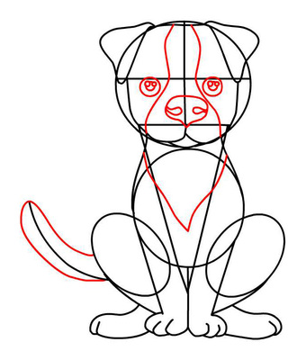 330x390 Draw A Sitting Dog Step 6 Artdrawing Dog Steps