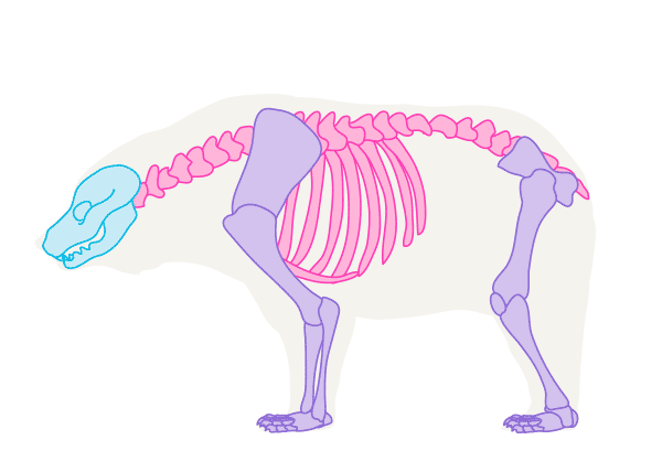 600x428 Running Horses Are Beautiful And Graceful Creatures. However, They