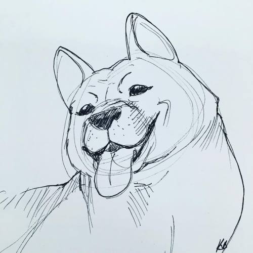 500x500 Kad's Sketchbook