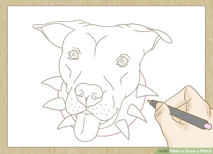 728x529 How To Draw A Pitbull (With Pictures)