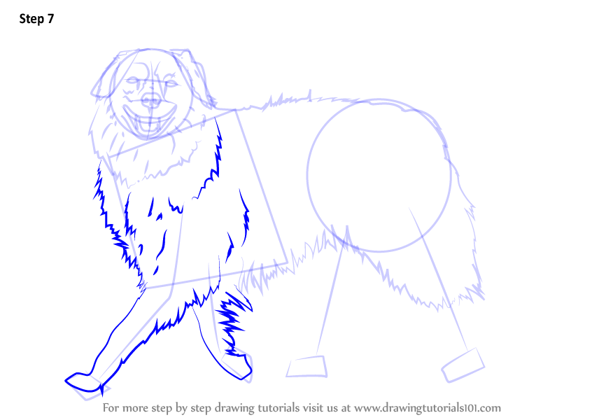 846x600 Learn How To Draw A Dog Walking (Dogs) Step By Step Drawing