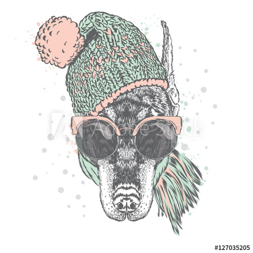 500x500 Beautiful Doberman In A Hat, Sunglasses And A Scarf. Vector