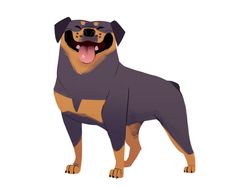 235x188 Weimaraner (Dog Week