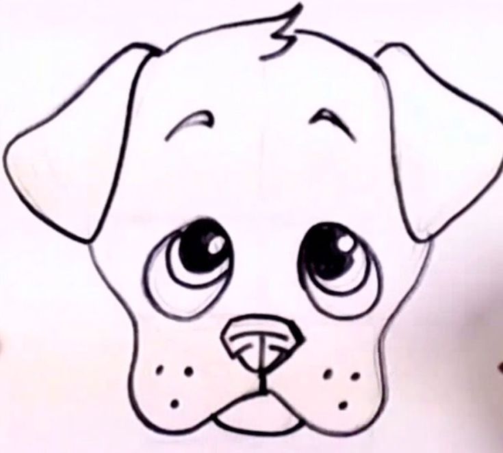 735x662 Pictures Cartoon Drawings Of Dog Faces,