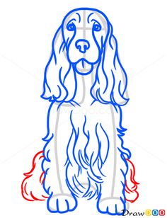 236x308 Dog Line Drawing