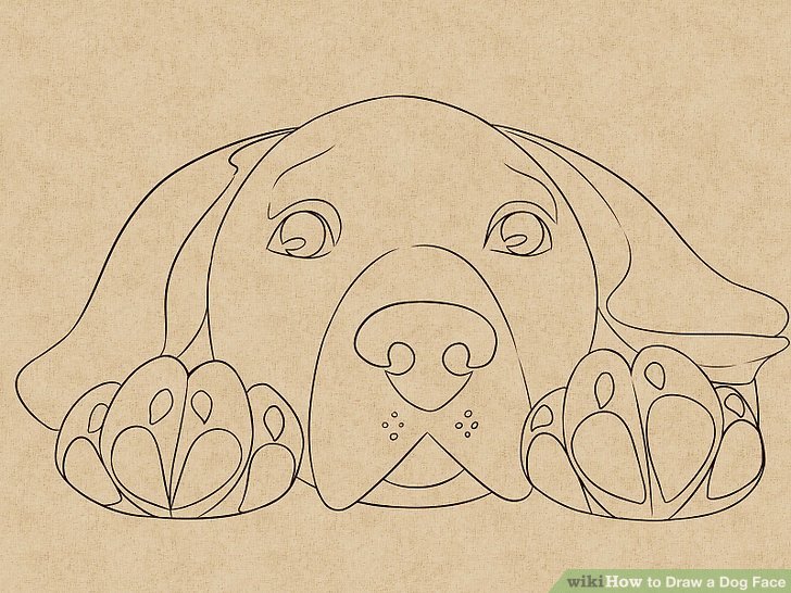 728x546 How To Draw A Dog Face (With Pictures)