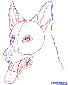 236x293 How To Draw A German Shepherd For Kids Step 7 1 000000112855 5.gif