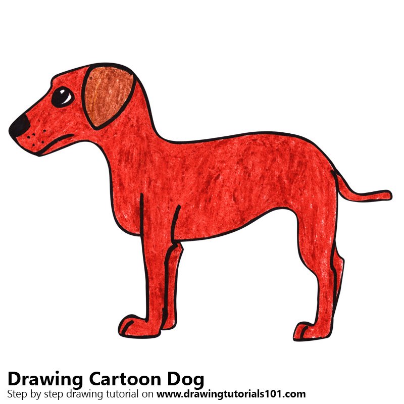 800x800 Learn How To Draw A Cartoon Dog For Kids (Cartoon Animals) Step By