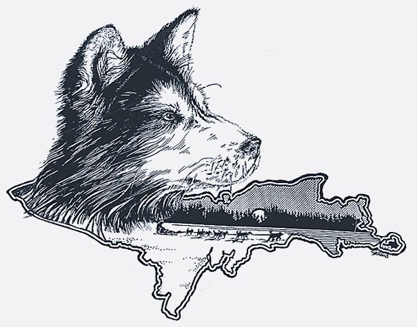 605x475 Snowy Plains Kennels Dog Sled Rides