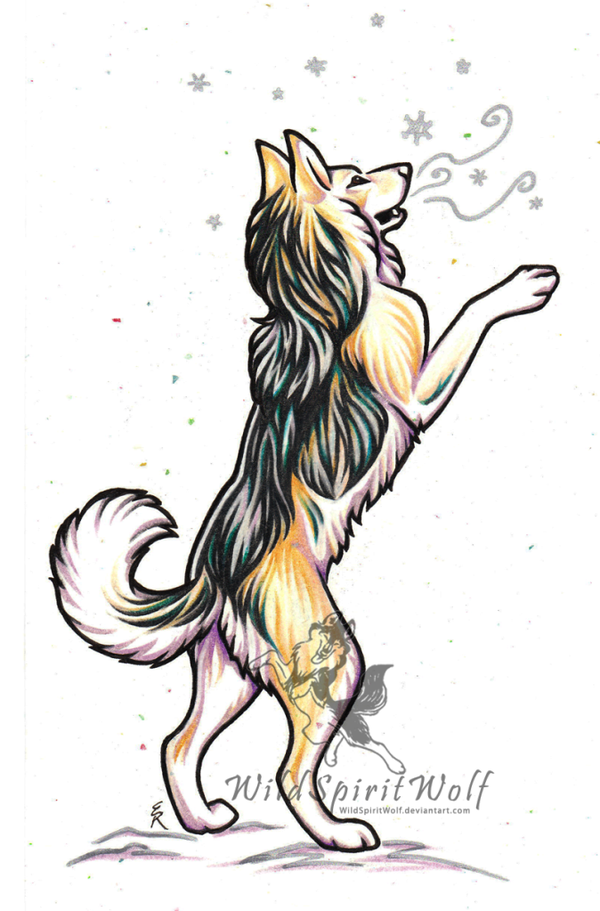 600x911 Dogsled Explore Dogsled