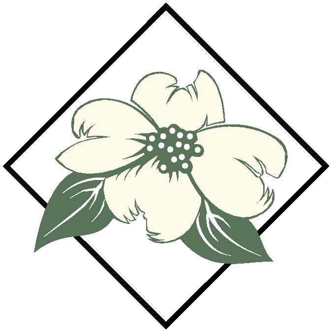 675x675 Dogwood Flower Drawings Christian Clip Art Dogwood