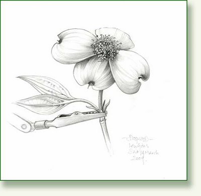 400x390 Id Like It Without The Hand Amp Etc. Dogwood Blossom Tattoo