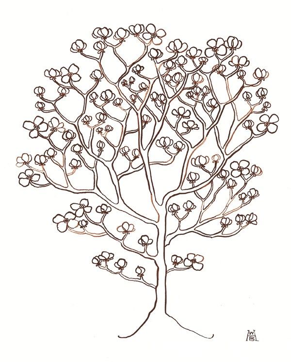 600x746 Dogwood Tree No. 7 Original Ink Drawing Dogwood Trees And Originals