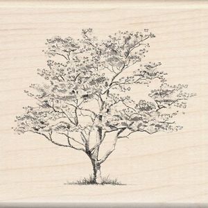 300x300 Small Dogwood Rubber Stamp 60 00212 Inkadinkado Brand New! Tree