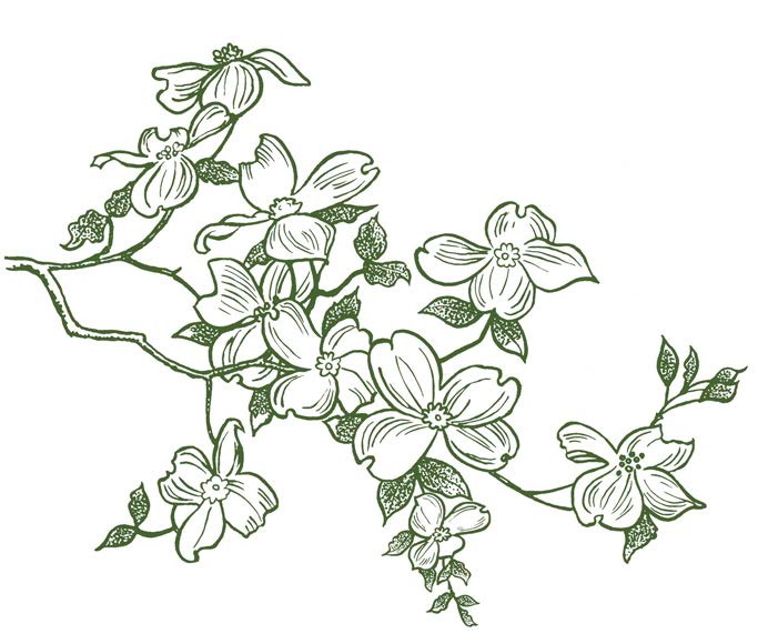 683x580 Dogwood Branch Magenta