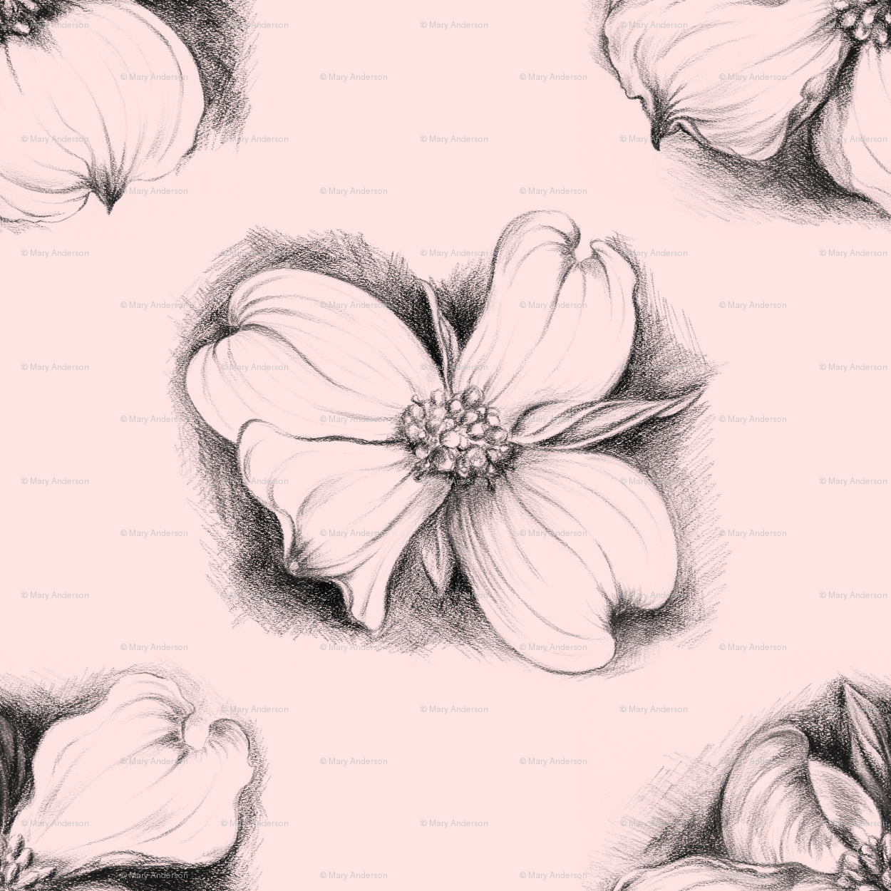 1250x1250 Elegant Dogwood Drawing In Pink Wallpaper