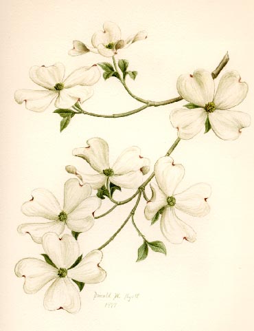 370x481 Pin By Leah Mcgee On For Me Mary, Tattoo