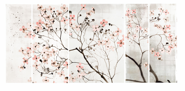 650x319 Dogwood Tree Drawing Collection