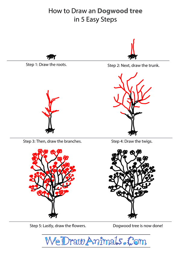 600x838 Dogwood Tree Tutorial.png
