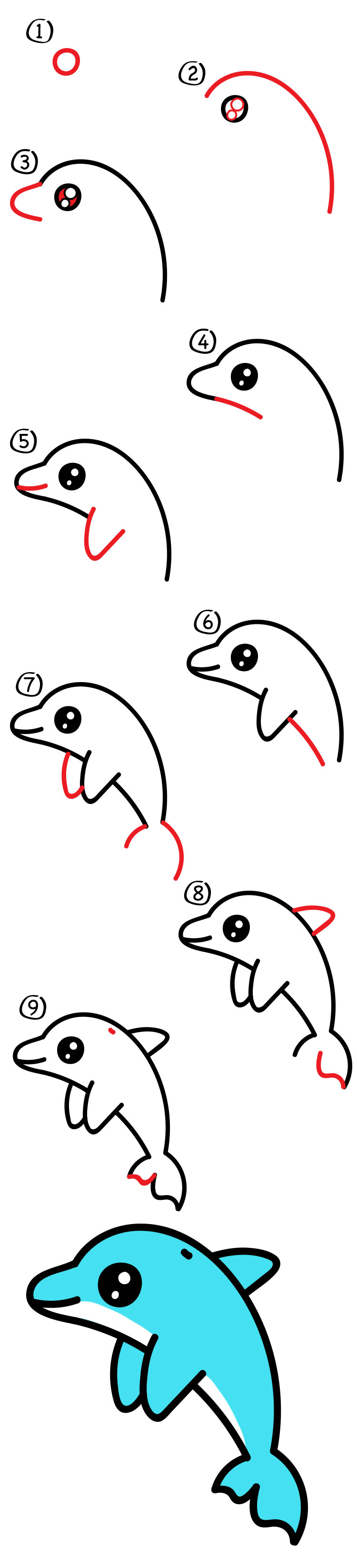 750x3292 How To Draw A Cartoon Dolphin