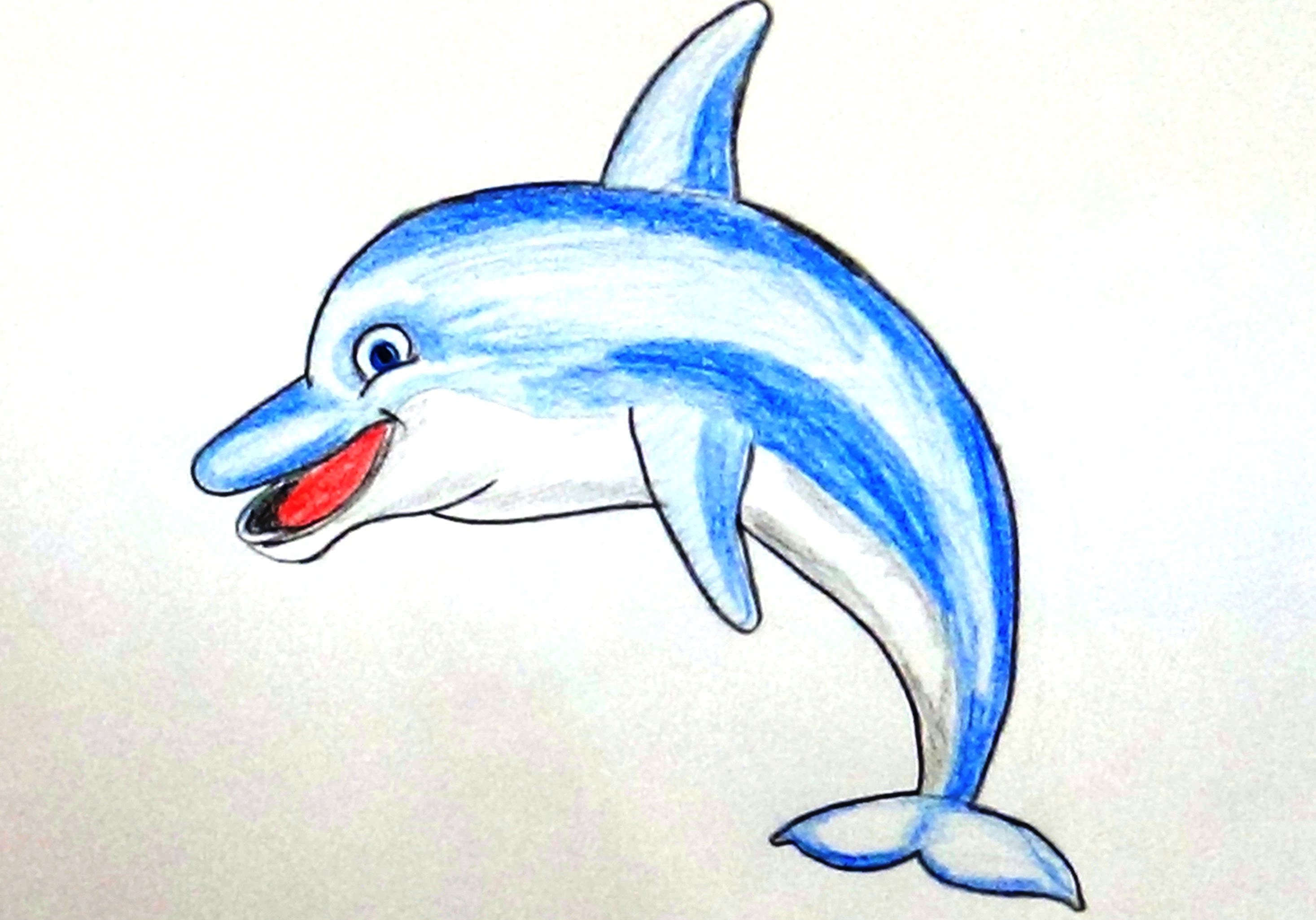 2933x2051 How To Draw A Dolphin How To Color A Dolphin For Beginners
