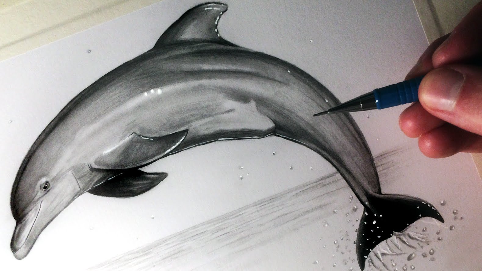1580x889 How To Draw A Dolphin