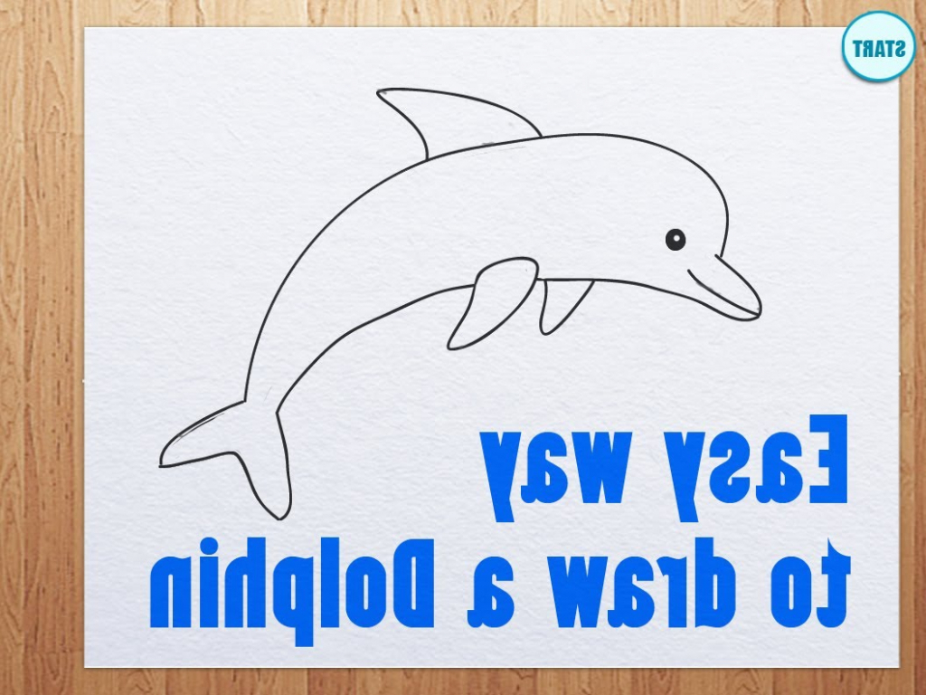 1024x768 Easy Ways To Draw A Dolphin Easy Dolphin Drawing