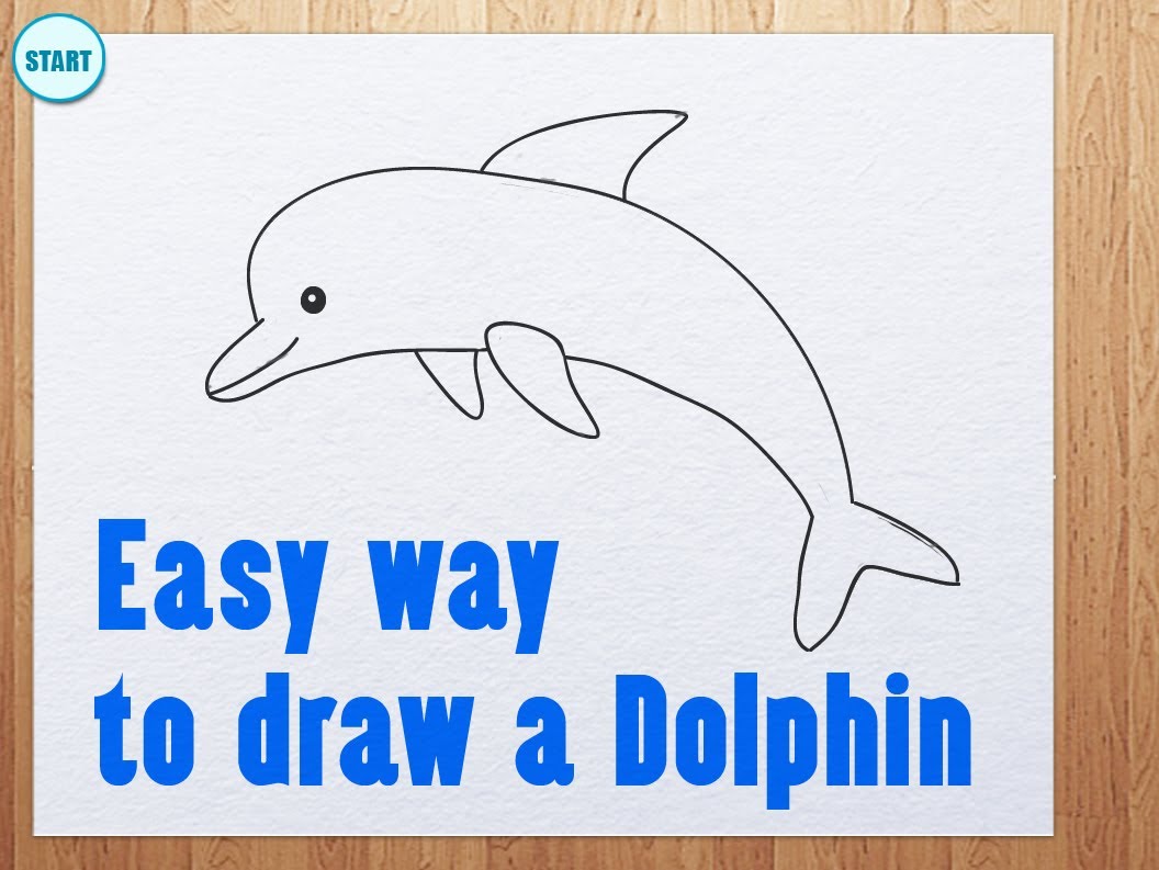 1056x793 Easy Way To Draw A Dolphin