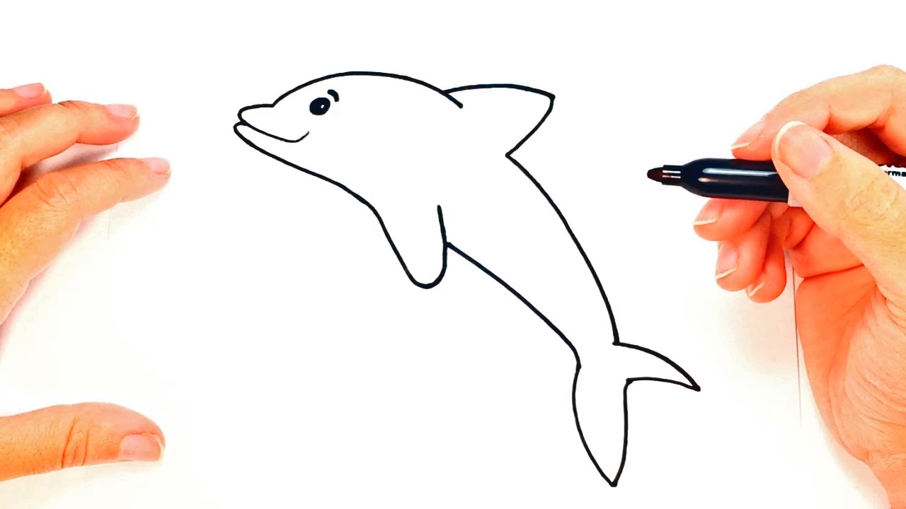 1280x720 How To Draw A Dolphin Dolphin Easy Draw Tutorial