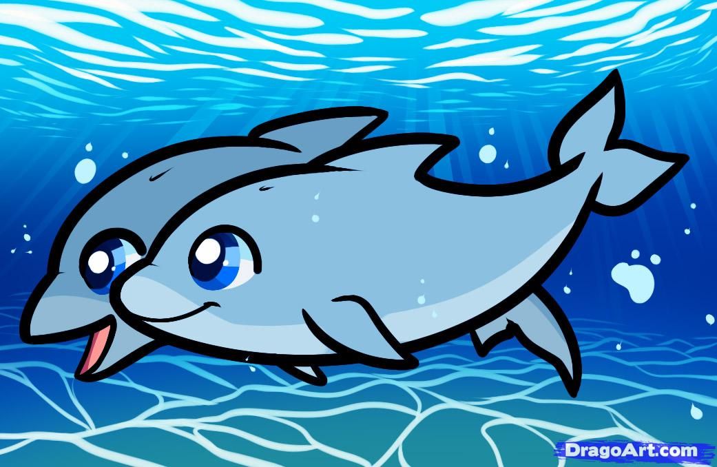 1041x678 Dolphins Pictures How To Draw Dolphins , Draw For Kids