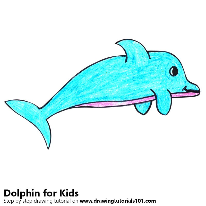 800x800 Learn How To Draw A Dolphin For Kids Very Easy (Animals For Kids
