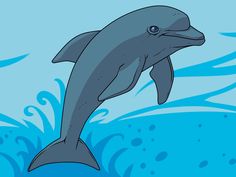 236x177 How To Draw A Dolphin For Kids