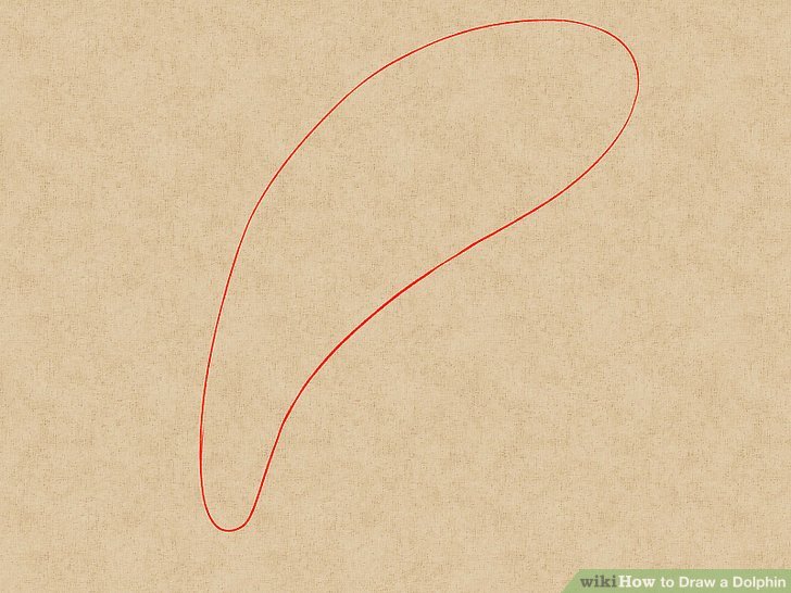 728x546 How To Draw A Dolphin 14 Steps (With Pictures)