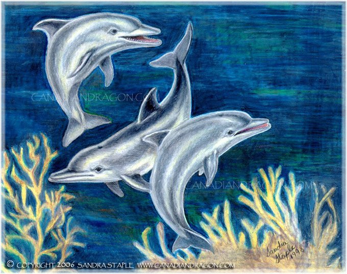 680x537 Dolphin Brush Strokes Dolphin Drawing, Fantasy Art