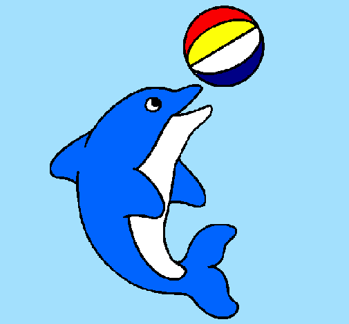 505x470 Drawn Dolphin Ball Drawing