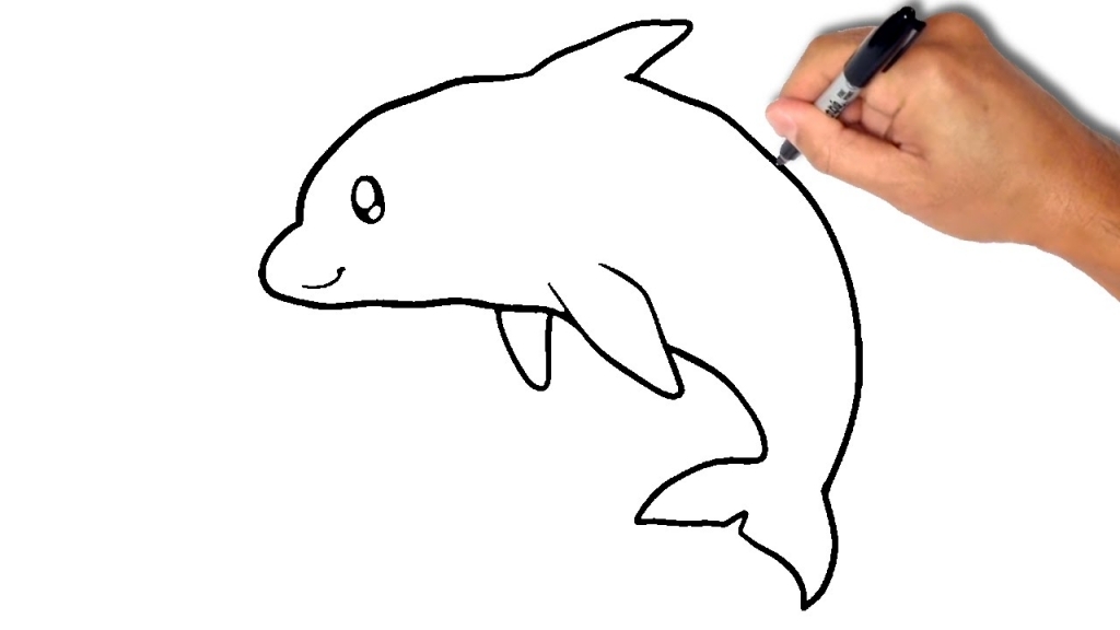 1024x576 How To Draw A Dolphin How To Draw A Dolphin Youtube