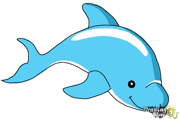 600x400 How To Draw A Dolphin