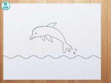 220x165 How To Draw Dolphin. Drawings Ideas For Kids