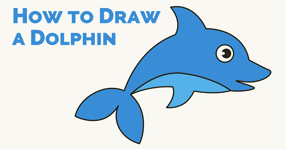 1200x628 How To Draw A Dolphin Easy And Simple Guide Easy Drawing