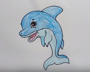 300x239 How To Draw A Cute Cartoon Dolphin Draw So Cute