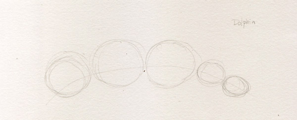 600x243 Dolphin Drawings