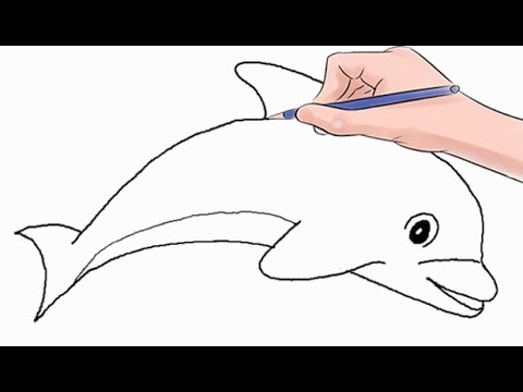 480x360 How To Draw A Dolphin Printable Step Step Drawing Sheet Step By