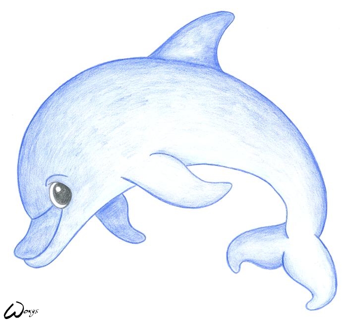 706x652 Drawings Of Dolphins