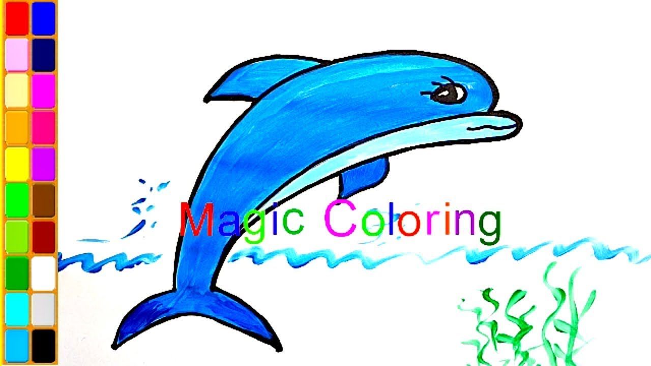 1280x720 How To Draw A Dolphin